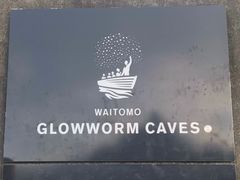 -怀托摩萤火虫洞