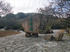 -香雪海
