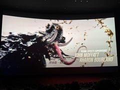 -悦江新远影城IMAX