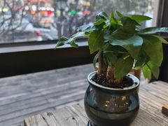 -Africafe(非洲咖啡)