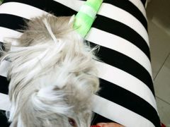 -雨林宠物医院 非犬猫异宠专科