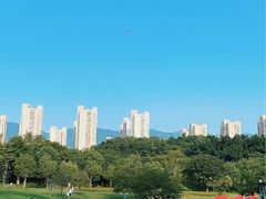 -牛岗山公园