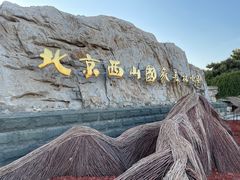 -北京西山国家森林公园