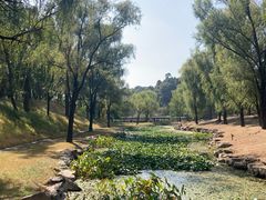 -承德避暑山庄景区