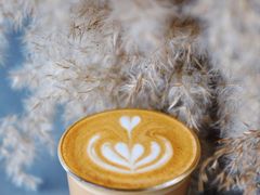 -Seesaw Coffee(朝阳大悦城店)