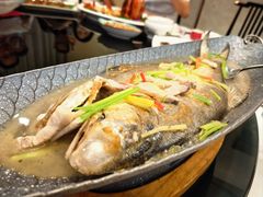 -金华安大酒楼·老牌潮菜·粤式茶点(东方国际店)