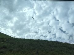 -新疆那拉提国家旅游度假区