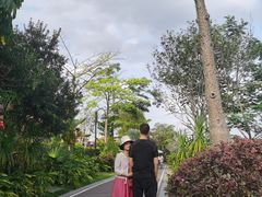 -美的鹭湖森林度假区