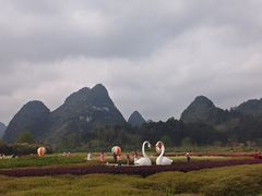 -靖西鹅泉风景区