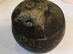 -志龙皇冠吃货椰子铺