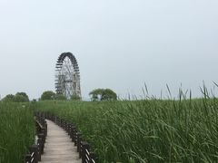 -太湖湖滨国家湿地公园-停车场