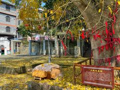 -扬美古镇景区