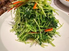 -首开·常青藤二期