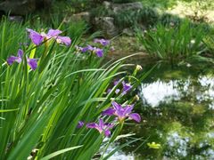 -西湖风景区-江洋畈生态公园