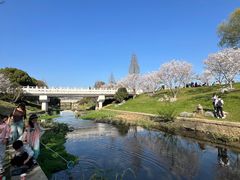 -羊山湖公园