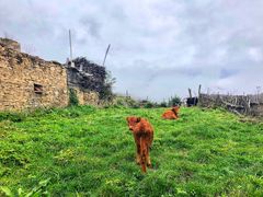 -叠溪松坪沟景区