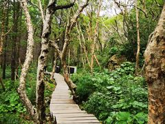 -白草畔自然风景区