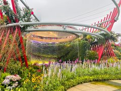 -海心沙亚运公园