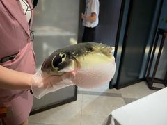 -鲐赏河豚(长寿店)