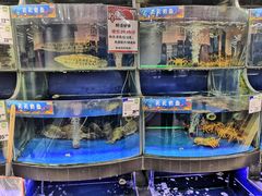 -果蔬好生活超市(东湖店)