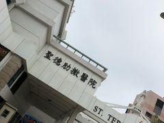 -圣德肋撒医院
