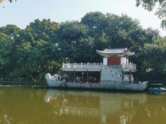 -金花茶公园