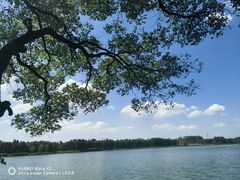 -东湖落雁景区