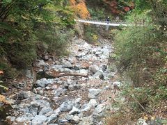 -龙道沟景区