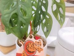 -COMPANION COFFEE小伴咖啡