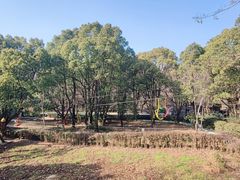 -WeLope紫金山探险公园