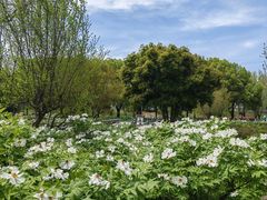 -幕燕滨江·长江观音景区