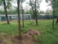 -秦皇岛野生动物园