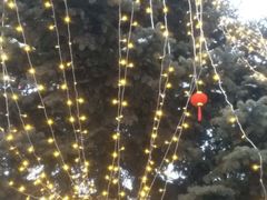 -人民防洪胜利纪念塔