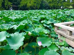 -包公祠