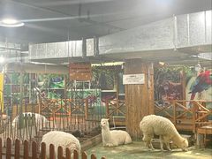 -上海昆虫博物馆