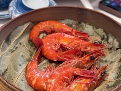 -千灯盛汇·头牌粤菜(致越优城店)