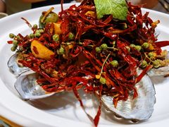 辣炒小鲍鱼-必点海鲜·鲅鱼水饺(鞍山西道店)