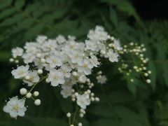 -中国中医科学院西苑医院(本部)