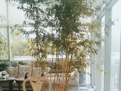 -银树楼(紫玉山庄东区店)