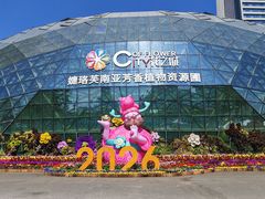 -花之城