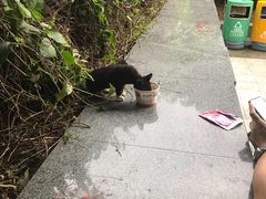-坂田(地铁站)