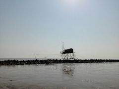 -南汇嘴观海公园