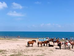 -青海湖国家重点风景名胜区