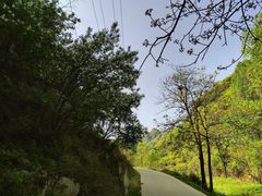 -抱龙峪