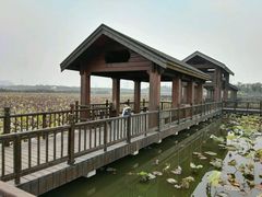 -东丽湖风景区