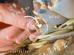 -蛇口市场