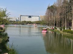 -青枫公园