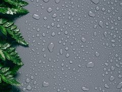 -合肥滨湖国家森林公园