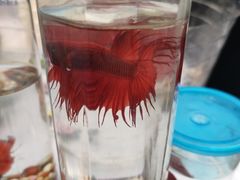 -南通CBD大有境