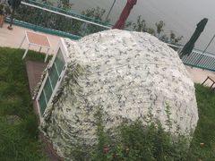 -望湖烤鱼